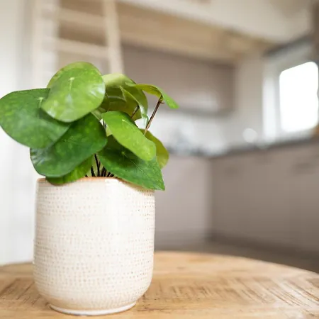 Ferienhaus Bis 4 Personen Ohne Hund - A61163 Norden