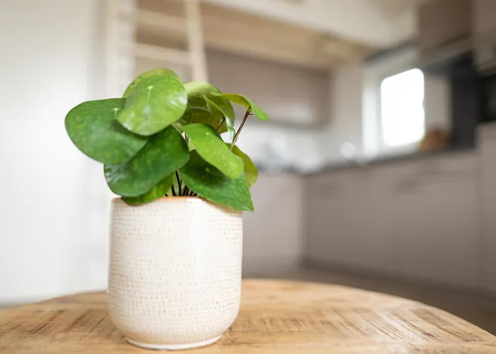 Ferienhaus Bis 4 Personen Ohne Hund - A61163 Norden